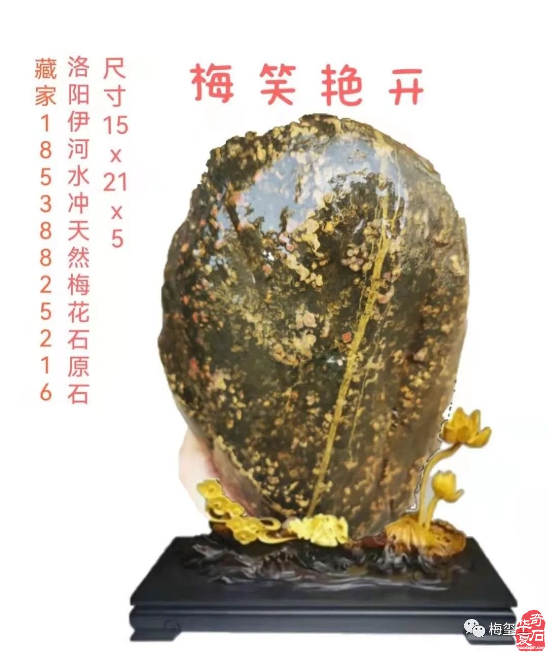 梅玺堂//全国奇石免费展示图(第99期)