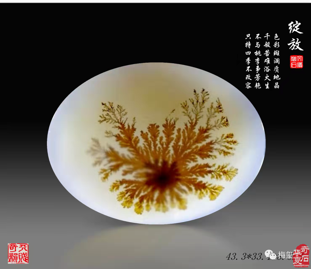 梅玺堂//全国奇石免费展示图(第99期)