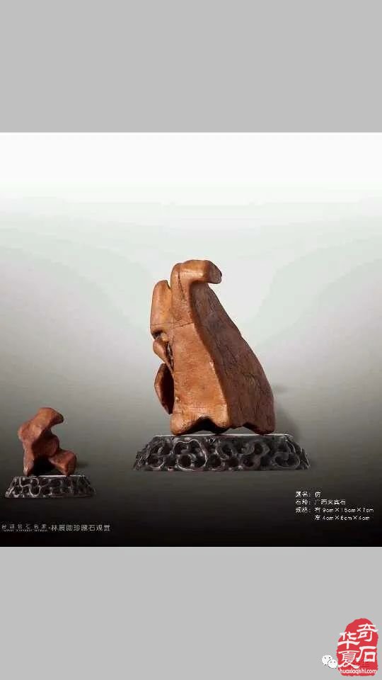 梅玺堂//全国奇石免费展示图(第99期)