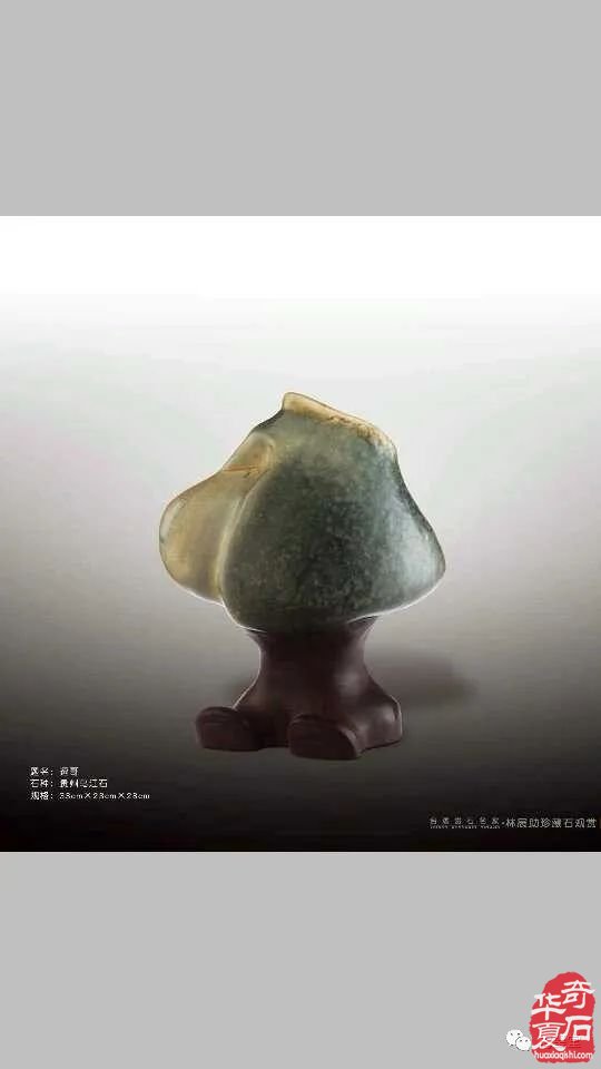 梅玺堂//全国奇石免费展示图(第99期)