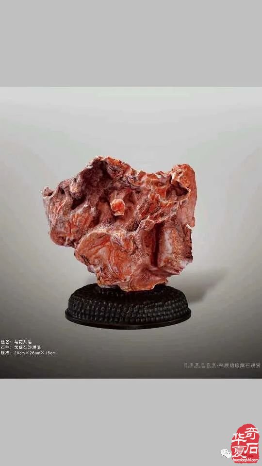 梅玺堂//全国奇石免费展示图(第99期)
