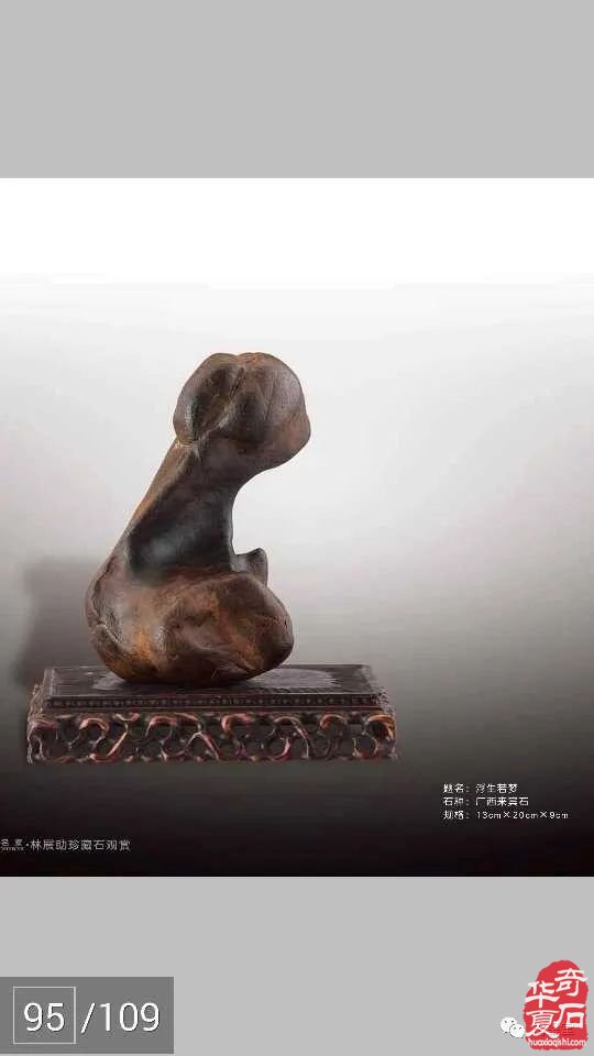 梅玺堂//全国奇石免费展示图(第99期)