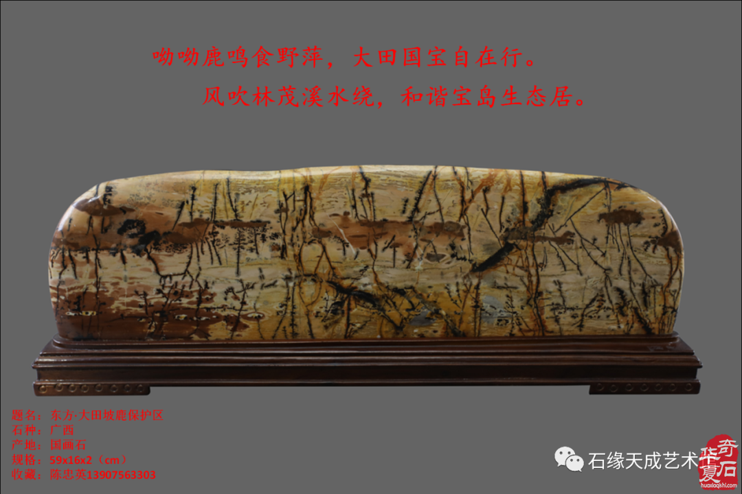习语石路：海南热带雨林国家公园