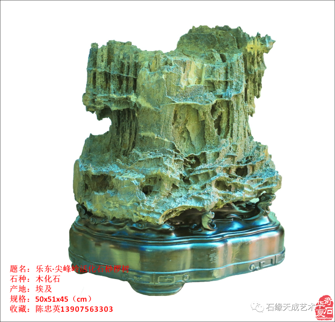 习语石路：海南热带雨林国家公园