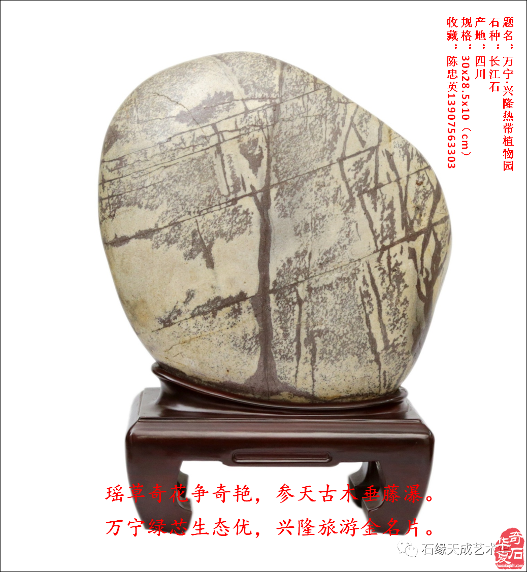 习语石路：海南热带雨林国家公园