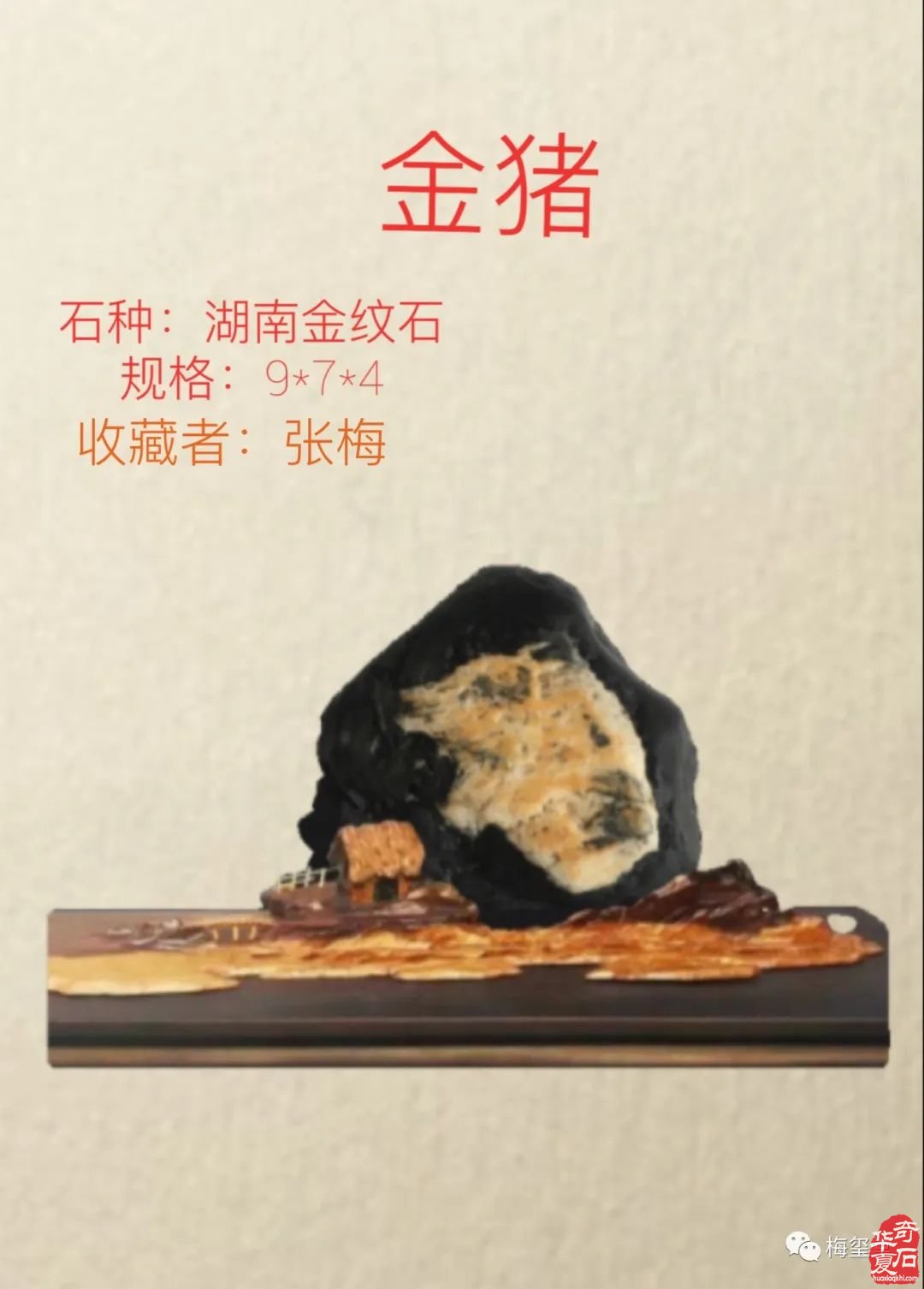 梅玺堂//全国奇石免费展示图(第100期)