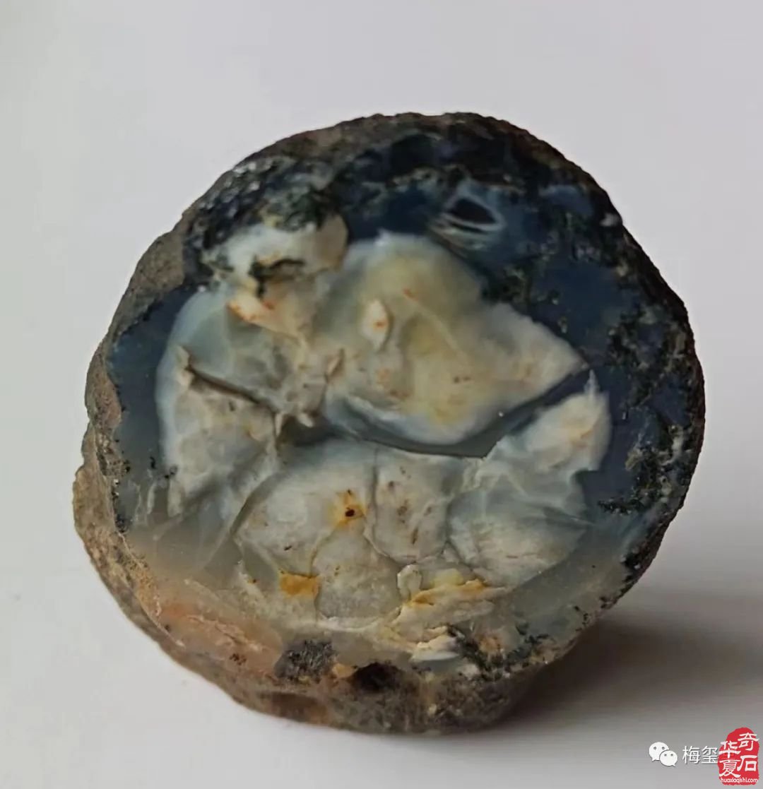 梅玺堂//全国奇石免费展示图(第100期)