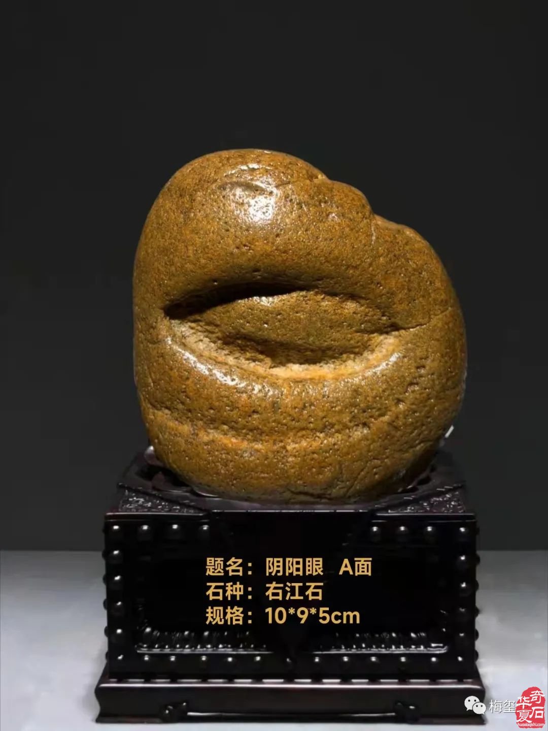 梅玺堂//全国奇石免费展示图(第100期)