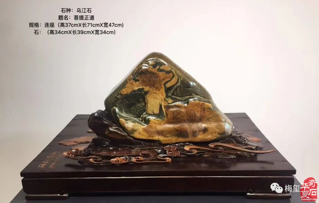 梅玺堂//全国奇石免费展示图(第100期)
