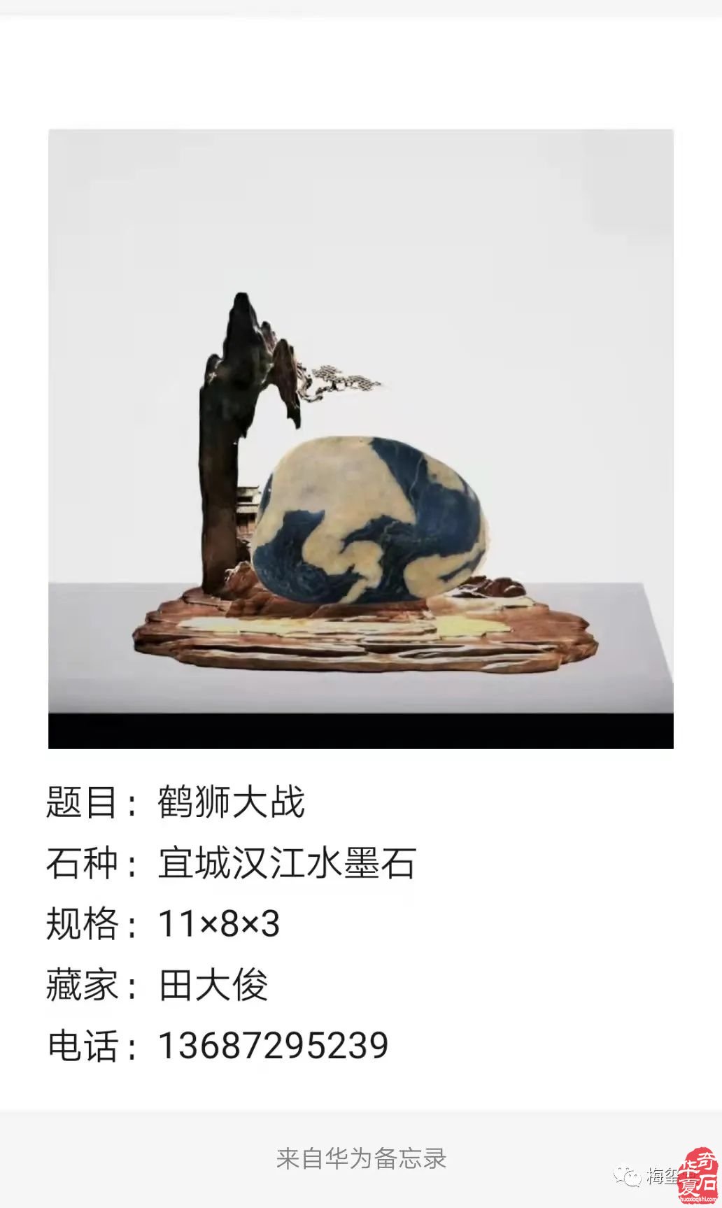 梅玺堂//全国奇石免费展示图（第100期）