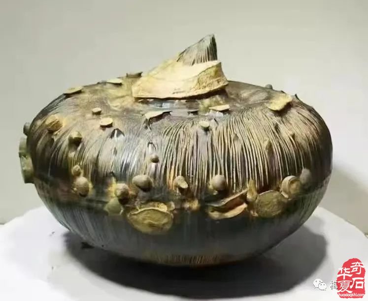 梅玺堂//全国奇石免费展示图(第100期)