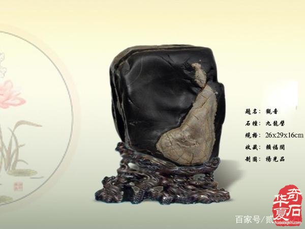 赏石文化与赏石市场的矛盾应如何解决