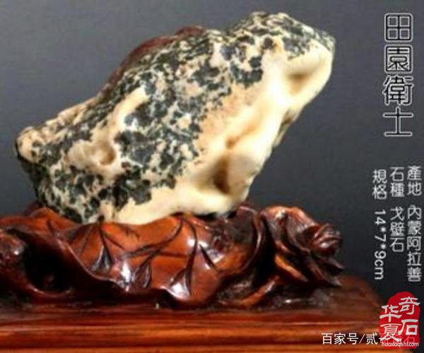 赏石文化与赏石市场的矛盾应如何解决