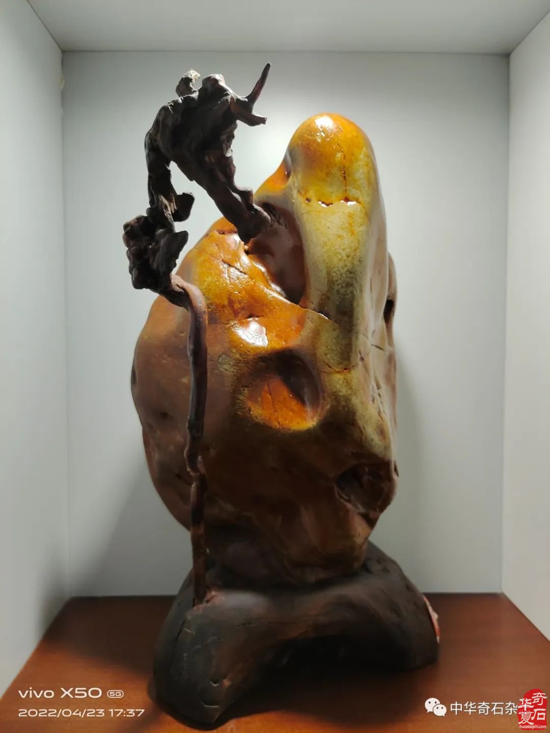 对当前赏石活动的观察与思考 图
