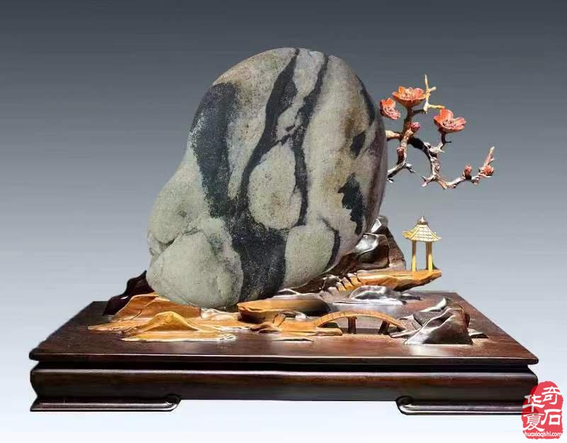 看大海赏美妙奇石传承中华传统文化 图