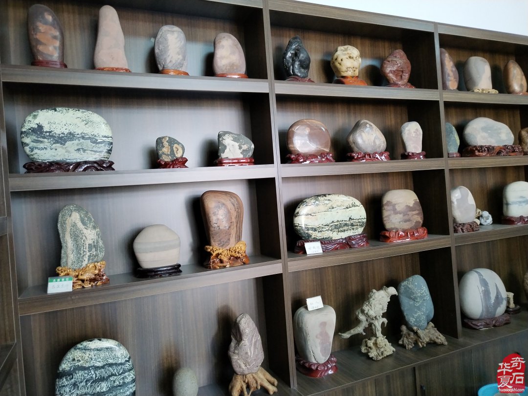 《雅石居》在洛阳奇石古玩文化城中悠然自得 图