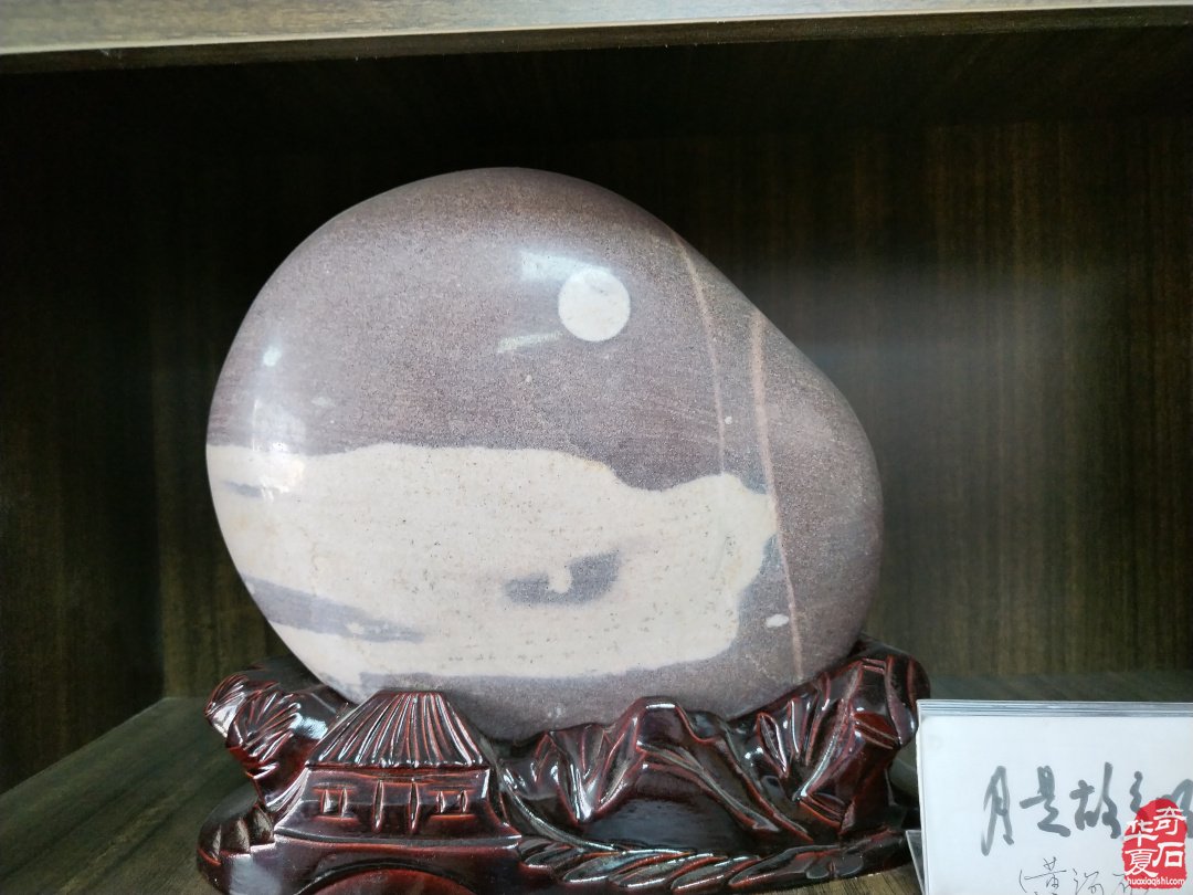 《雅石居》在洛阳奇石古玩文化城中悠然自得 图