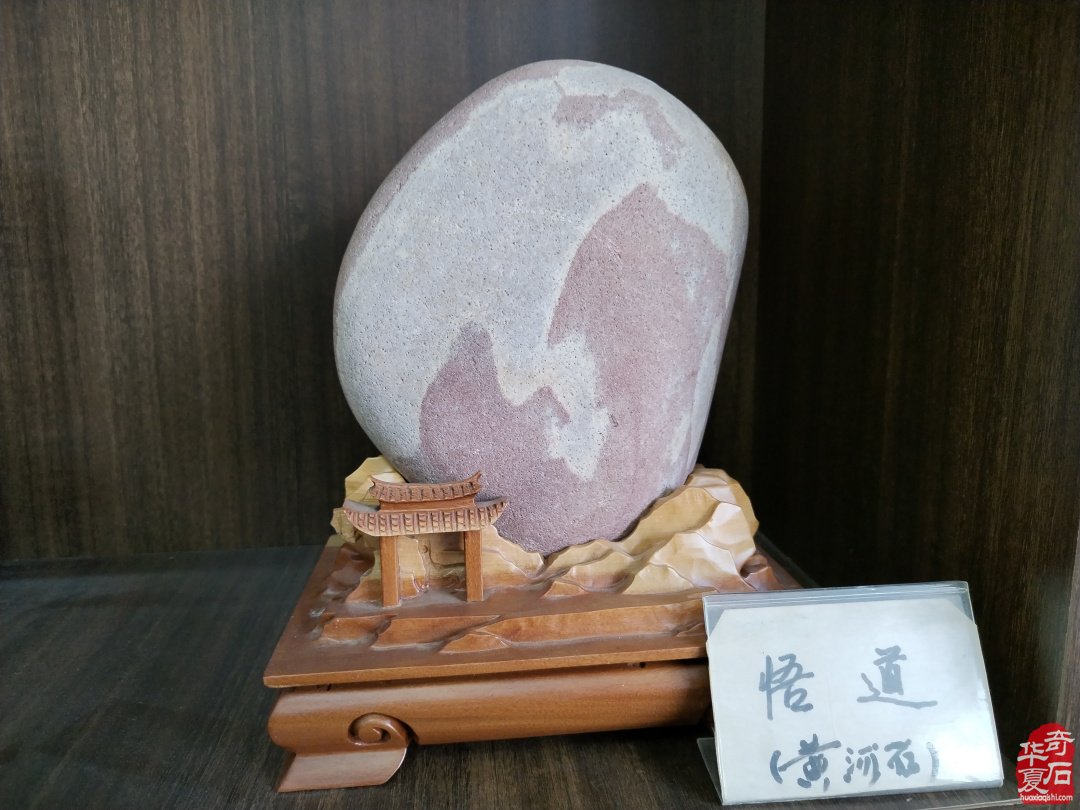 《雅石居》在洛阳奇石古玩文化城中悠然自得 图