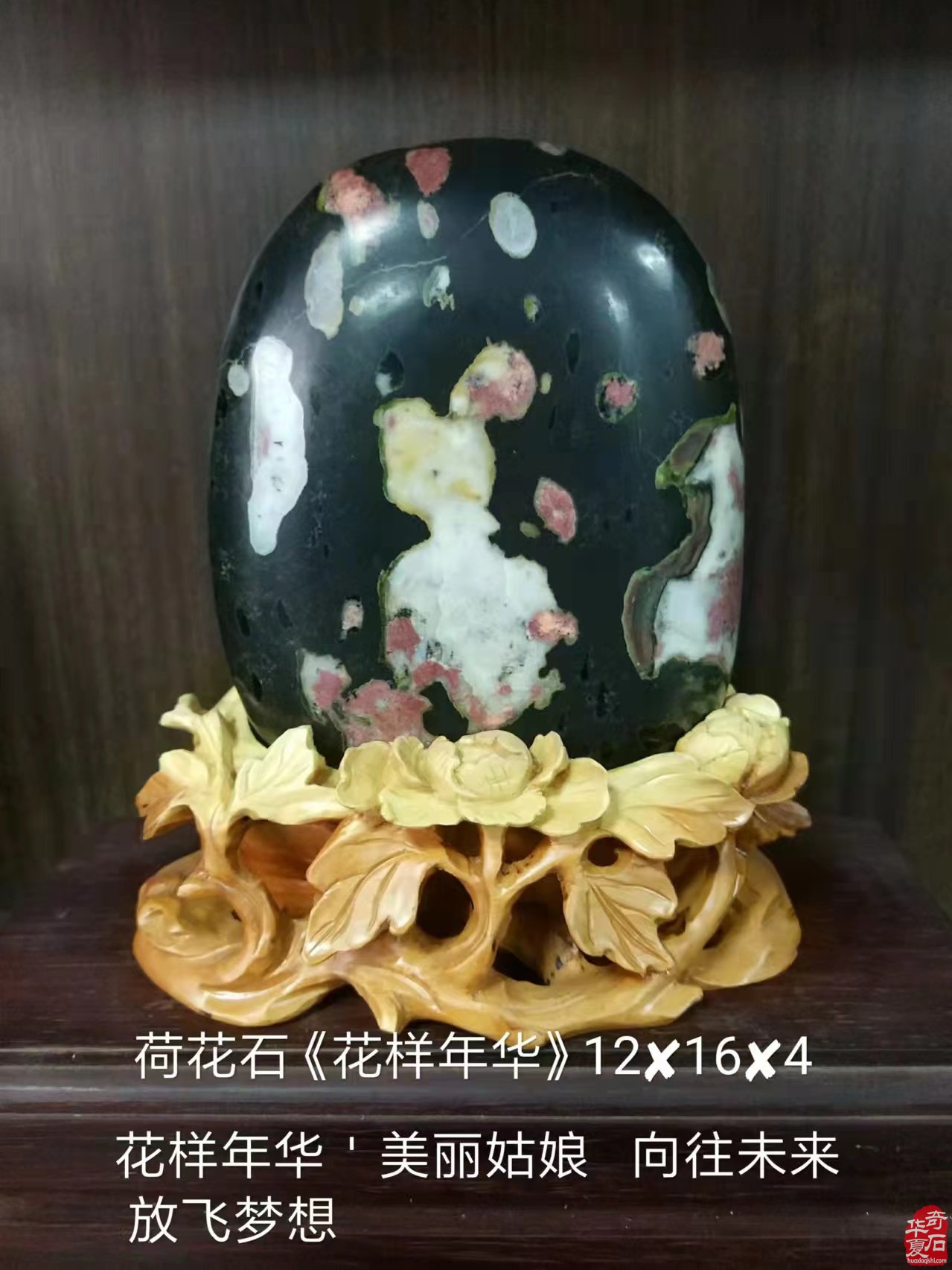 《雅石居》在洛阳奇石古玩文化城中悠然自得 图