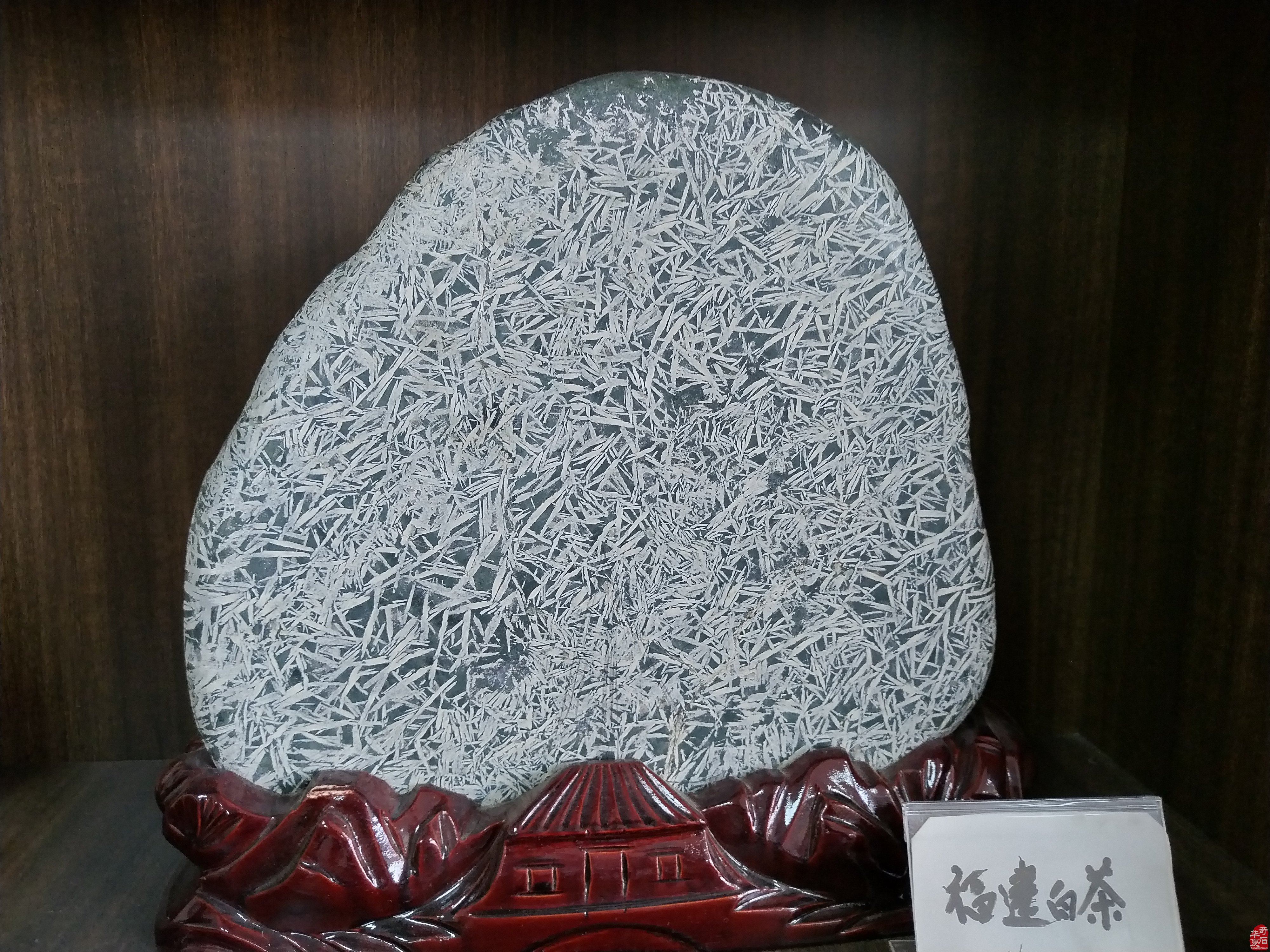 《雅石居》在洛阳奇石古玩文化城中悠然自得 图
