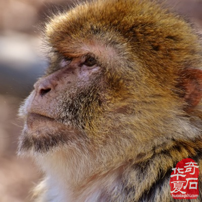 惊天玉出 大圣又来 （组图）
