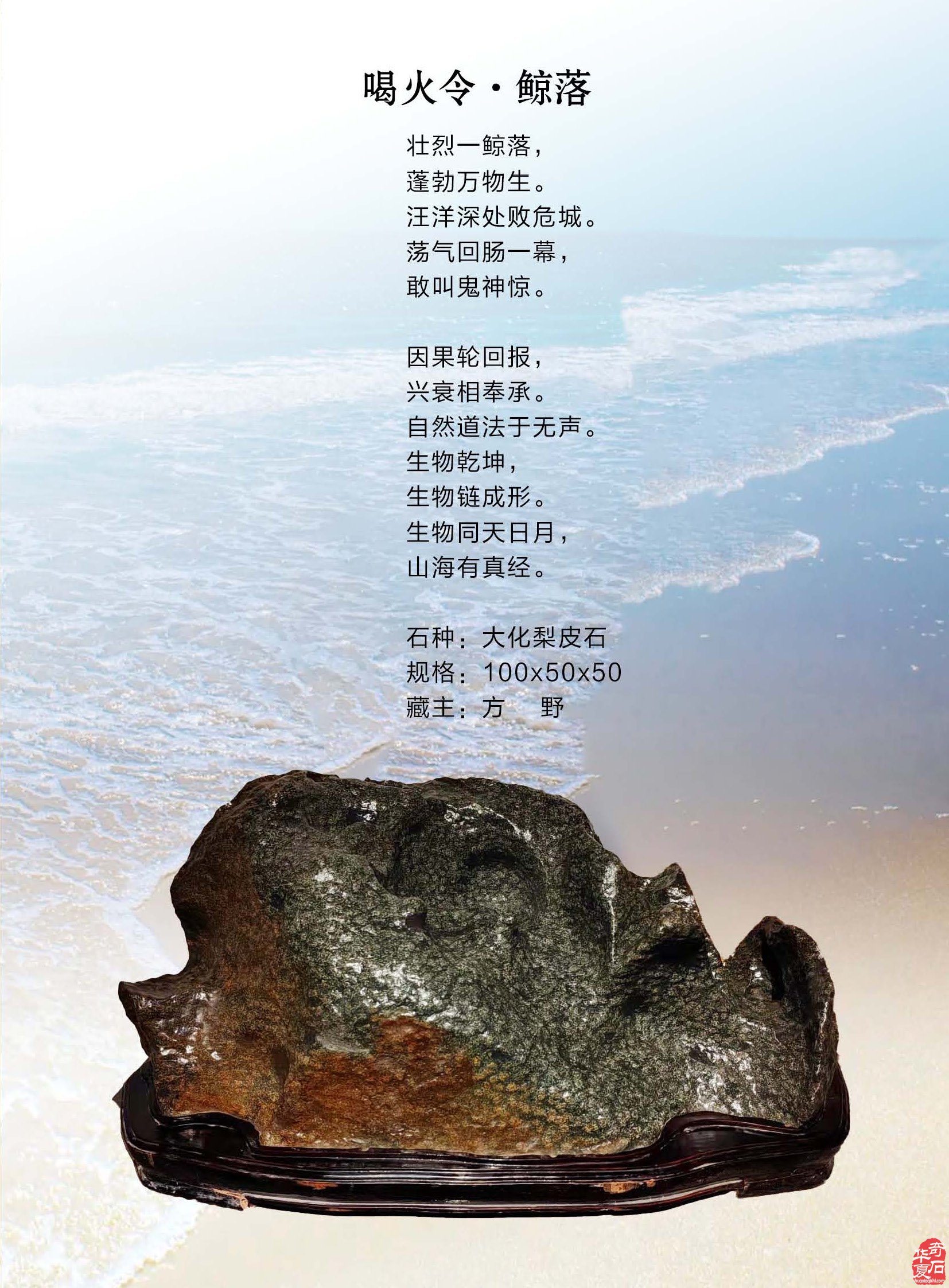 《于公赏石》上老军旅讲创新石语科学赏石