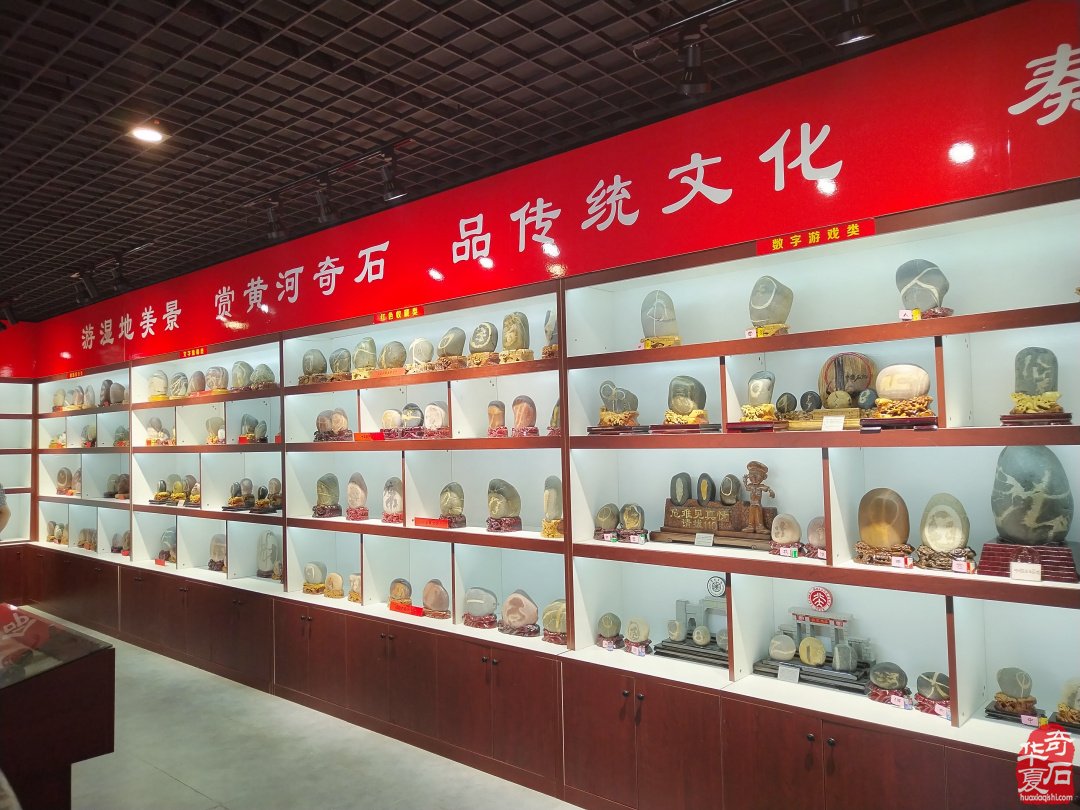 黄河滩上一颗耀眼的赏石明珠 图