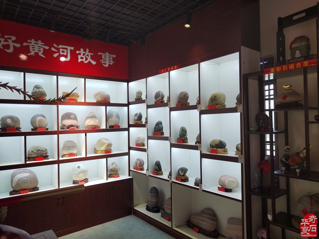 黄河滩上一颗耀眼的赏石明珠 图