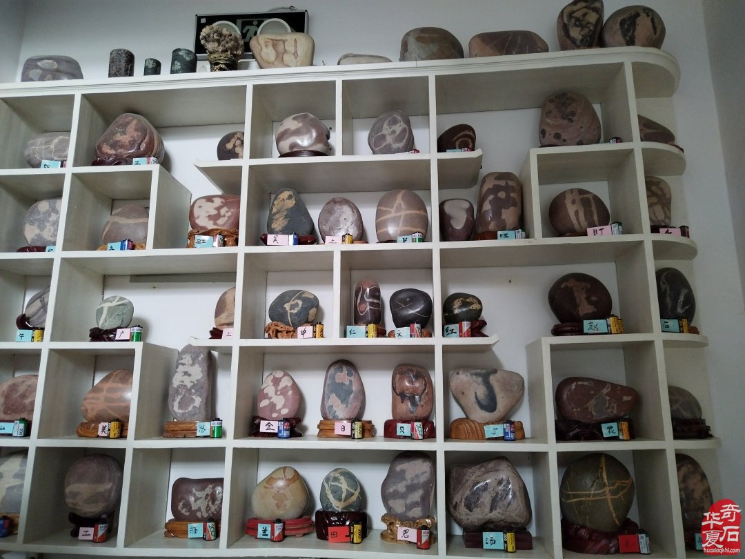 黄河滩上一颗耀眼的赏石明珠 图