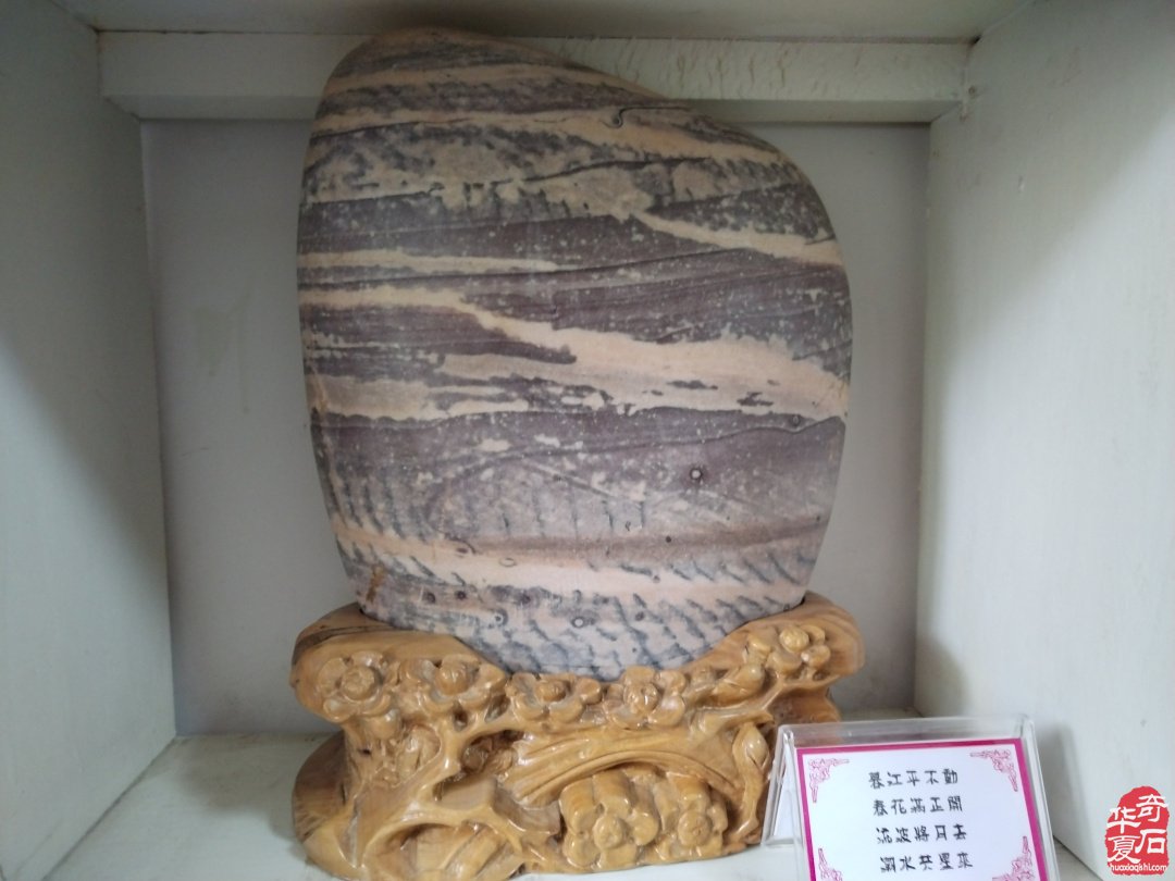 黄河滩上一颗耀眼的赏石明珠 图