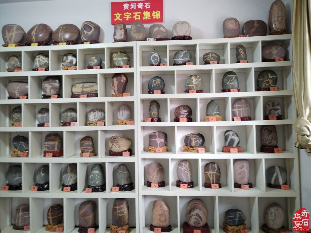 黄河滩上一颗耀眼的赏石明珠 图
