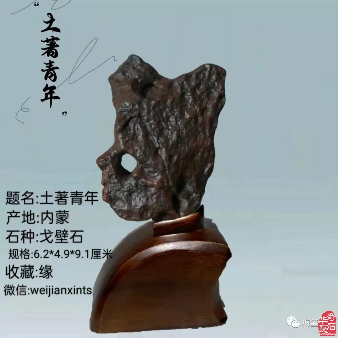 梅玺堂//全国奇石免费展示图(第101期)