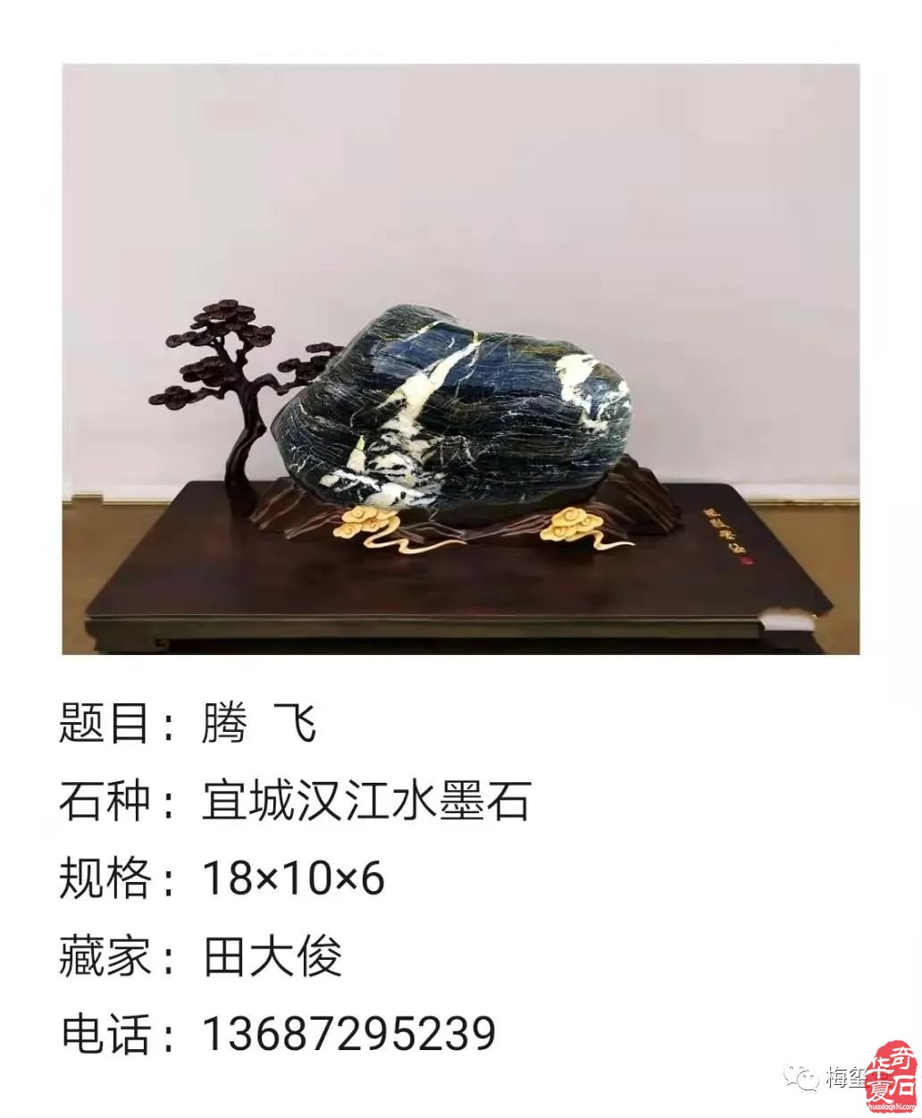 梅玺堂//全国奇石免费展示图(第101期)