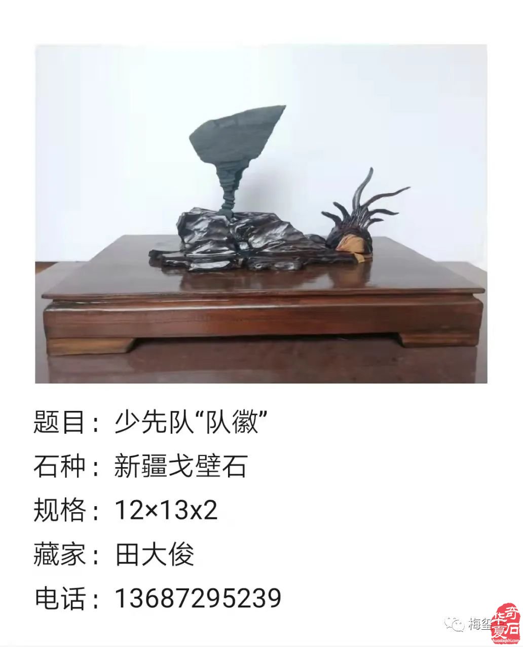 梅玺堂//全国奇石免费展示图(第101期)