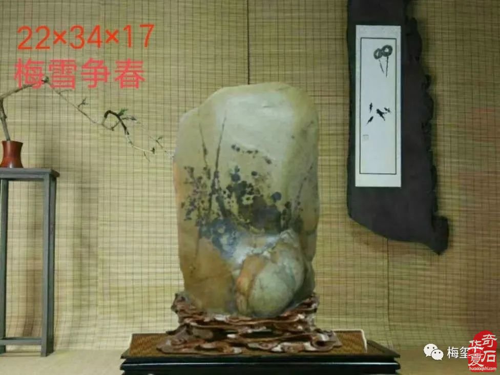 梅玺堂//全国奇石免费展示图(第101期)