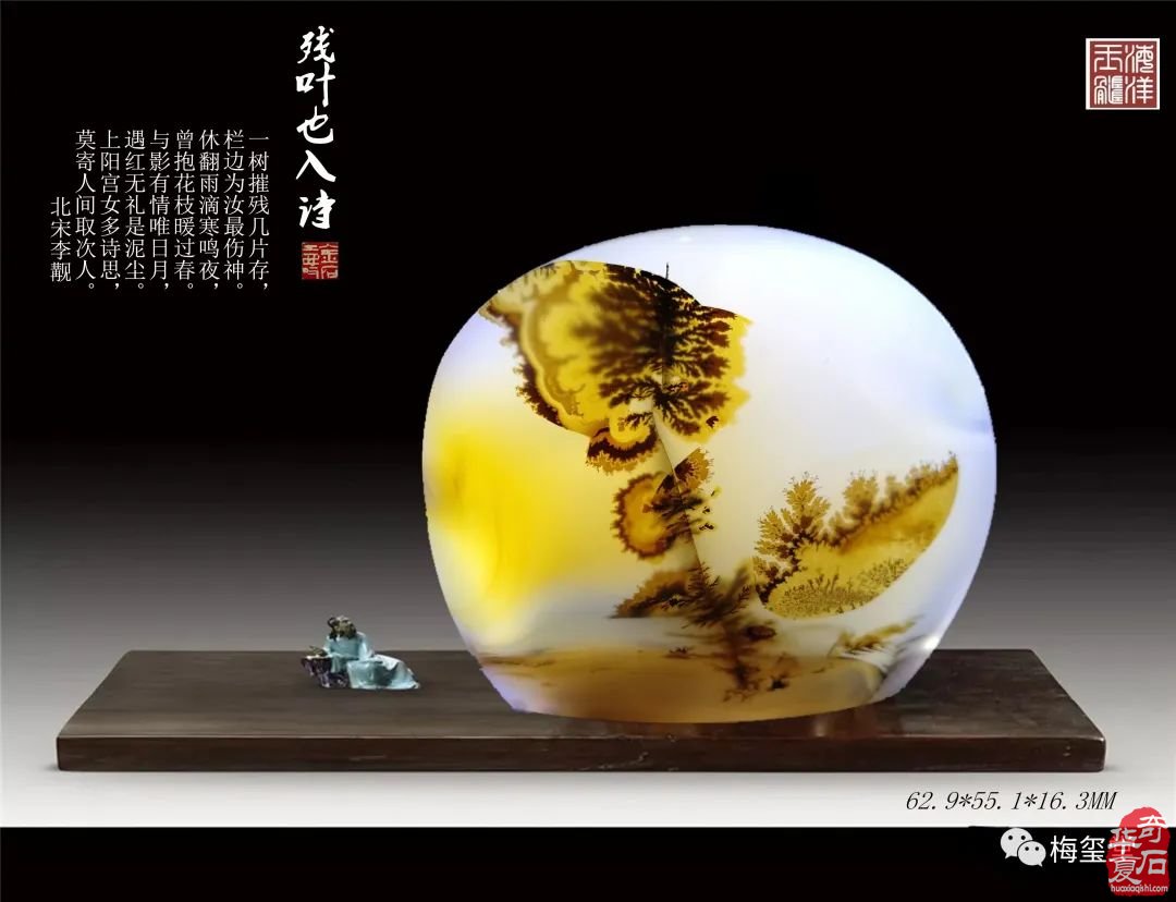 梅玺堂//全国奇石免费展示图(第101期)