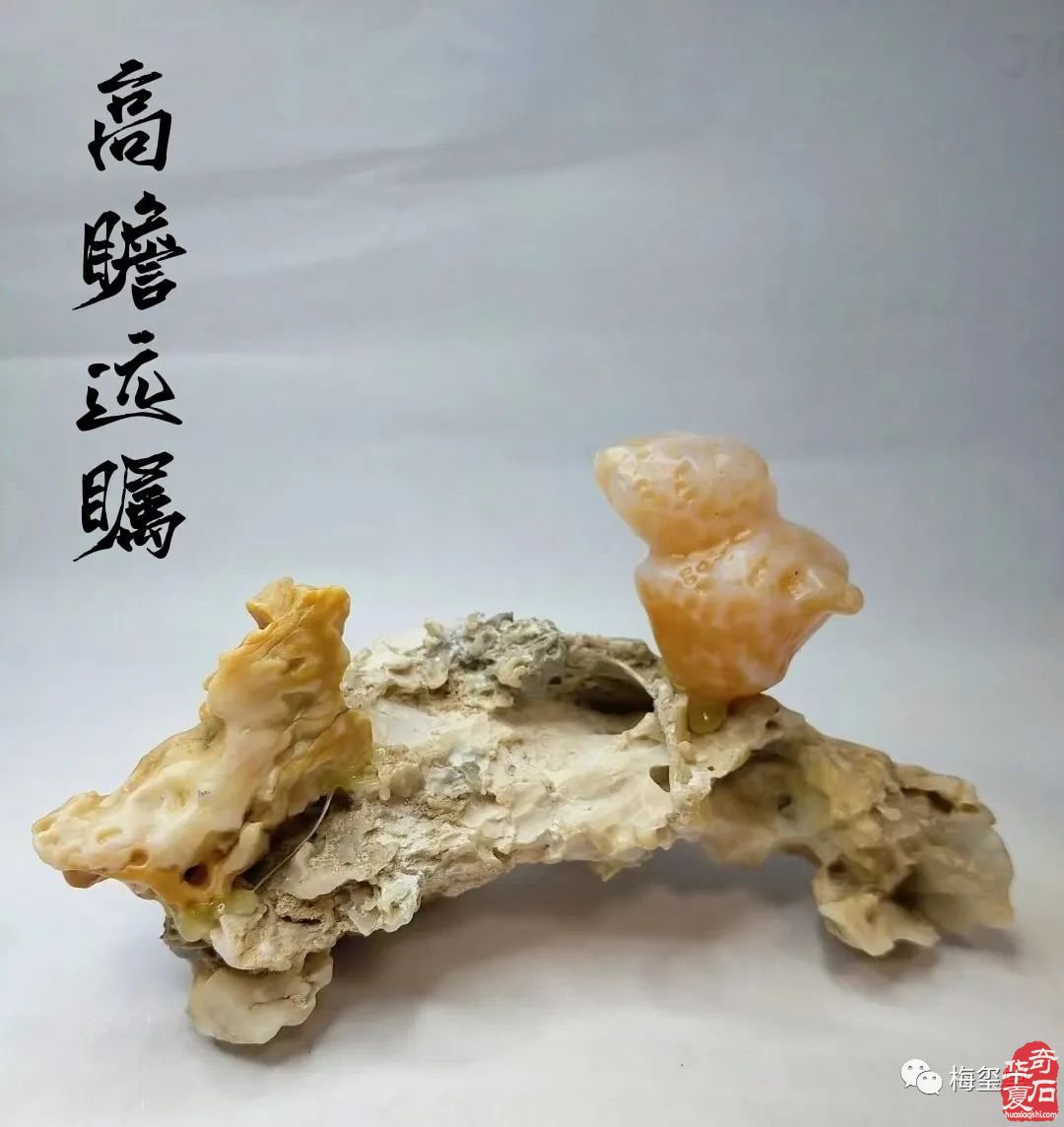 梅玺堂//全国奇石免费展示图（第101期）