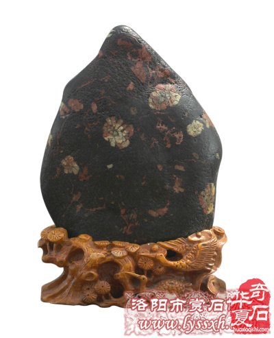 洛阳奇石古玩文化城喜迎贵客来访 图