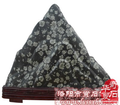 洛阳奇石古玩文化城喜迎贵客来访 图