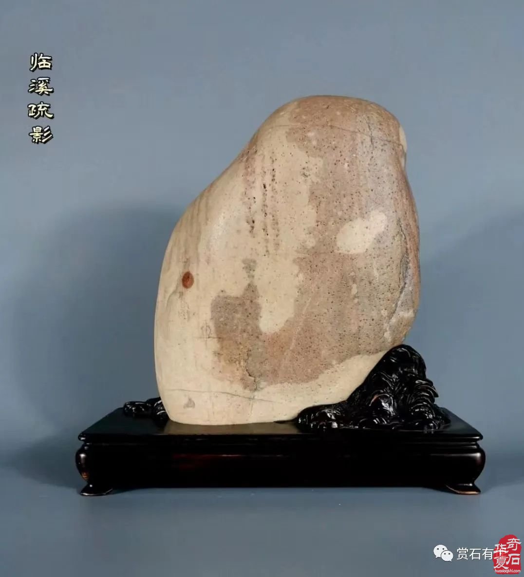 醉云山房诗赏雅石之一辑 组图
