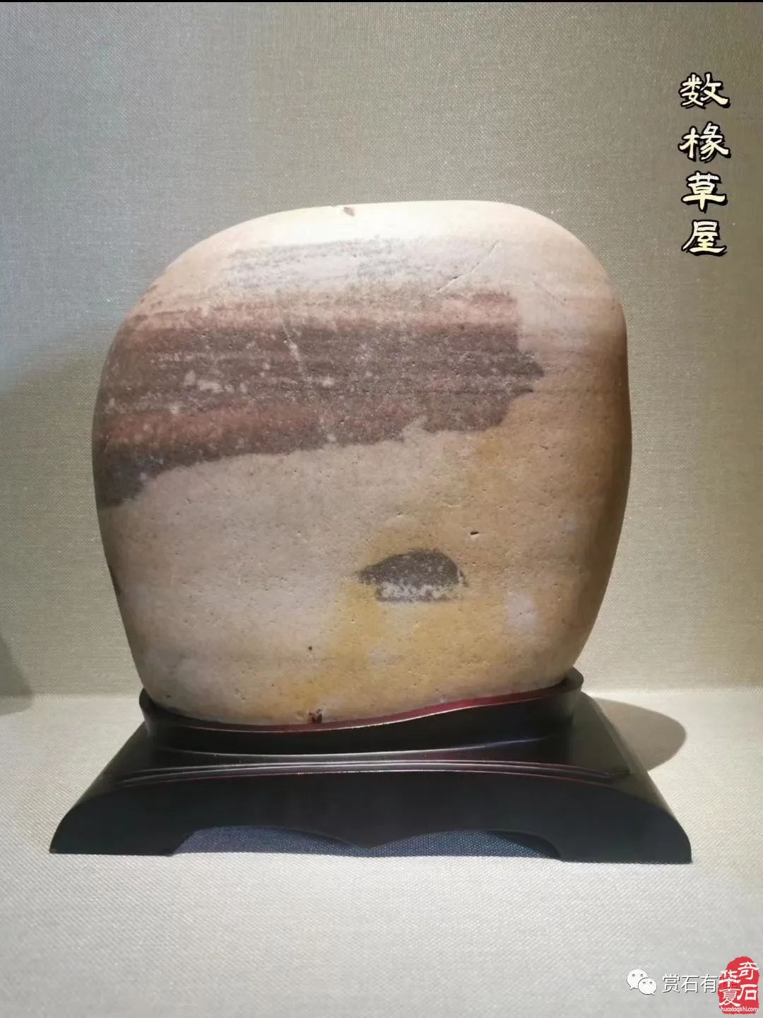 醉云山房诗赏雅石之一辑 组图