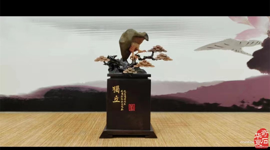 《砾璞阁》洛阳奇石古玩文化城中别具一格 图