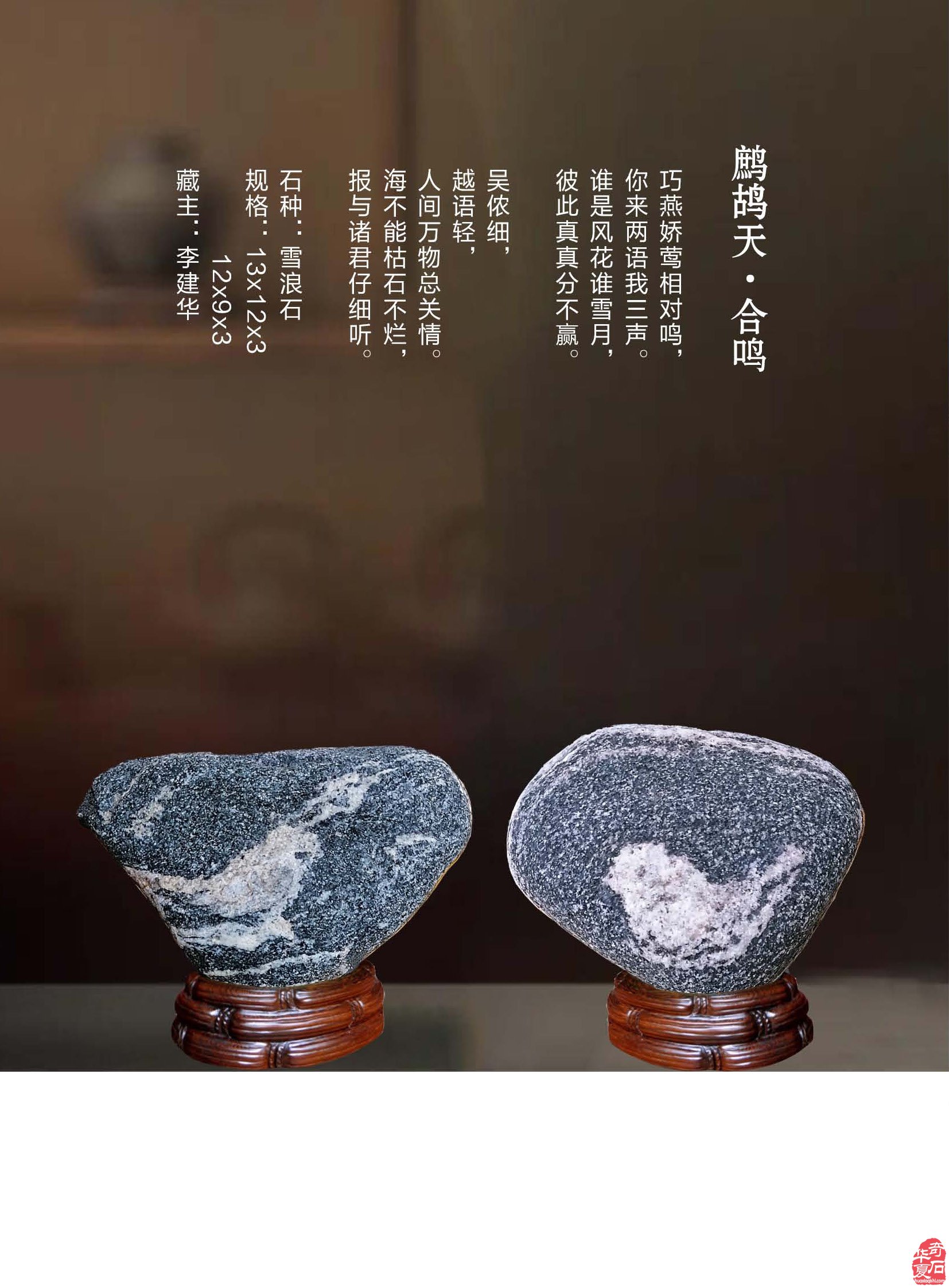 《于公赏石》杂志内容丰富信息量大画面优美