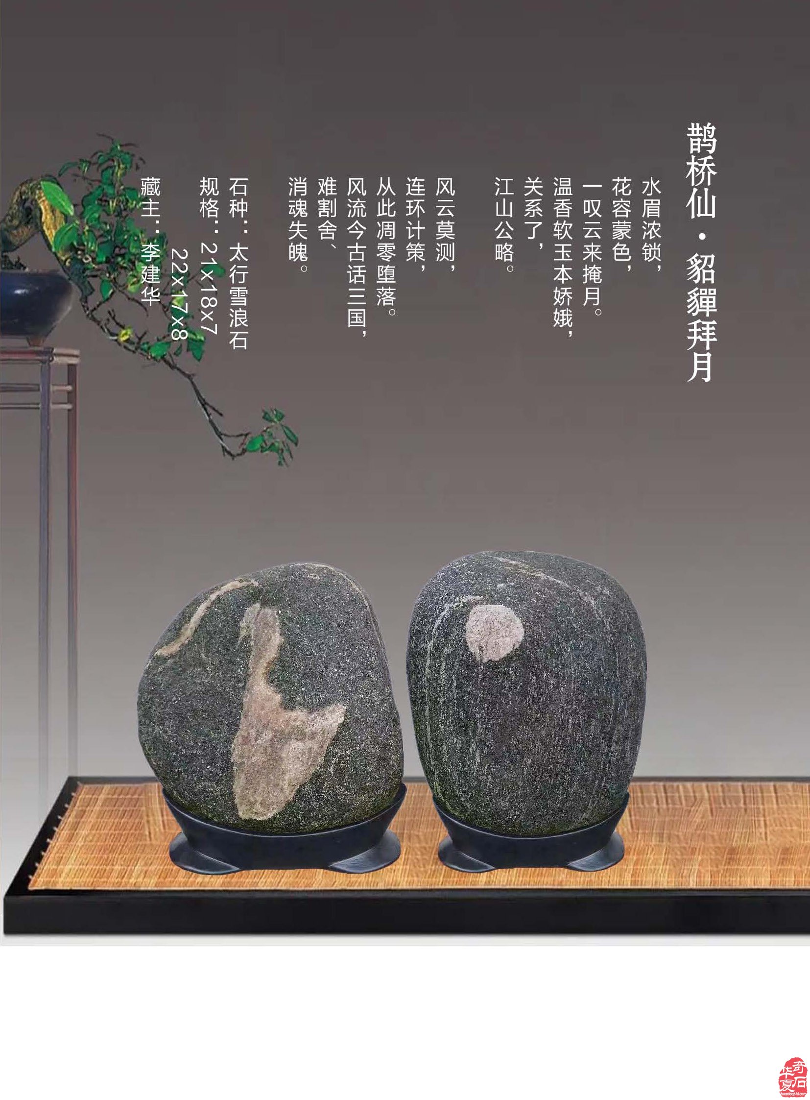 《于公赏石》杂志内容丰富信息量大画面优美