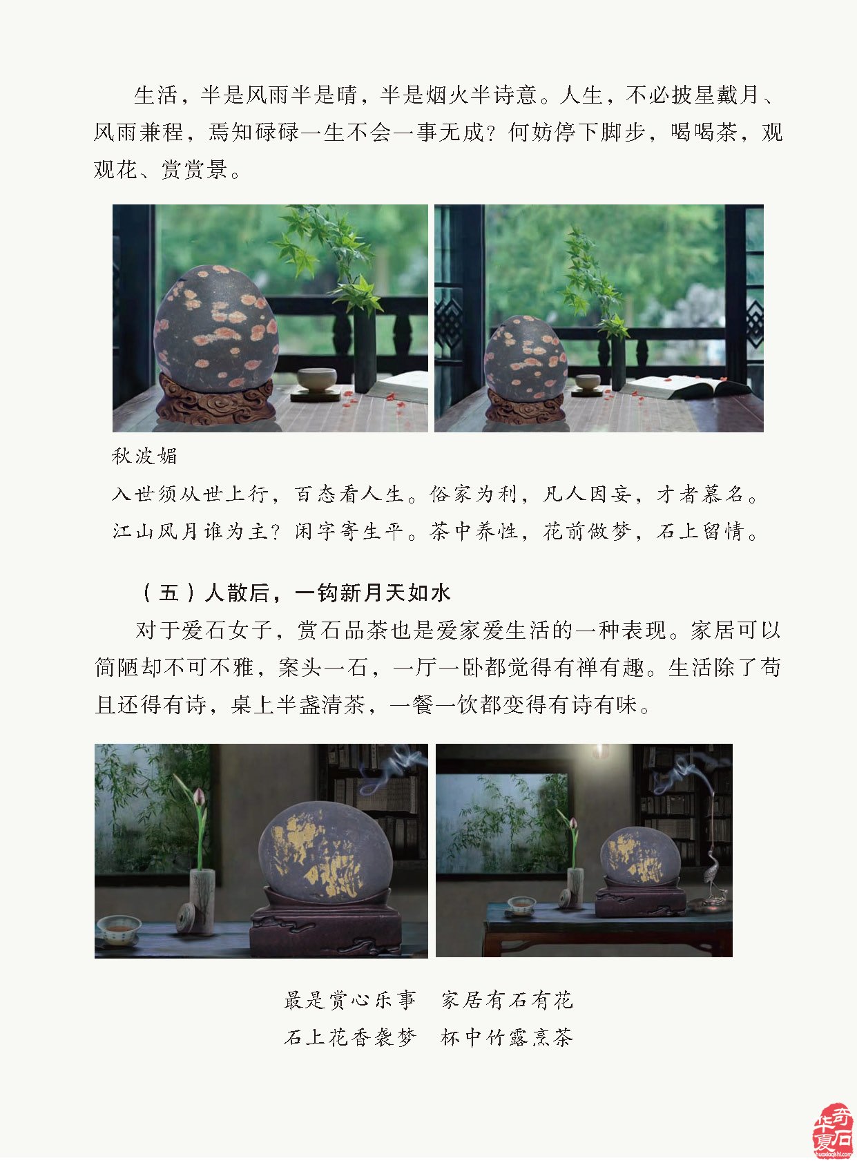 《于公赏石》杂志内容丰富信息量大画面优美