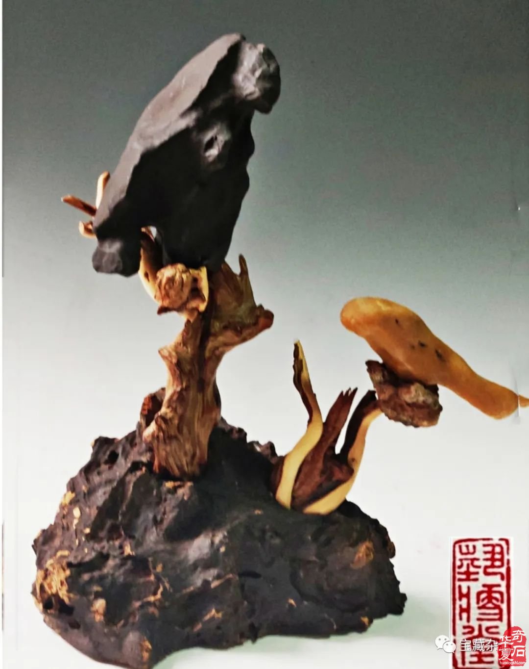 2022文化和自然遗产日 | 芜湖市镜湖赏石艺术陈列馆举办赏石文化进社区活动