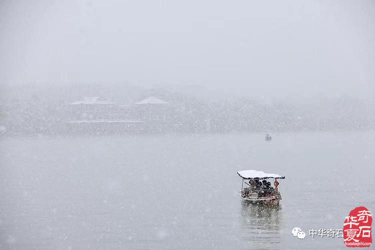 文人与石——张陶庵