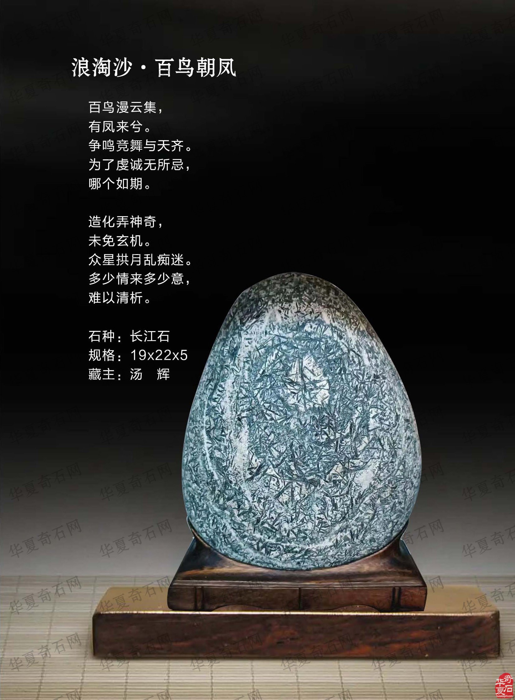 高温酷暑《于公赏石》杂志带来阵阵清风
