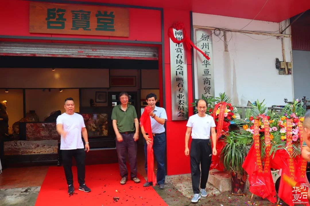 柳州市赏石协会国画石专业委员会成立 谢启足任首届会长
