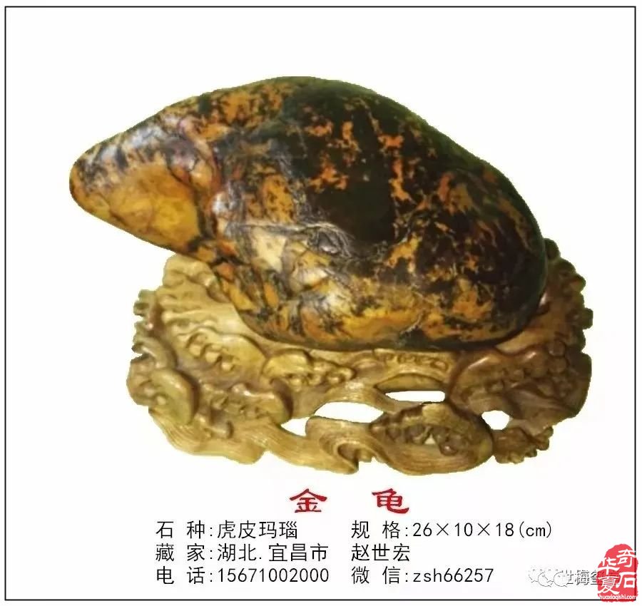 梅玺堂//全国奇石免费展示图(第102期)